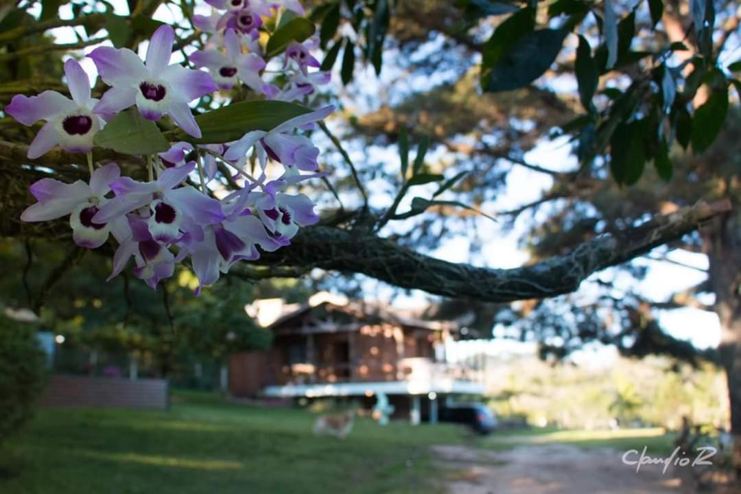 Linda Casa De Campo Viamão 외부 사진