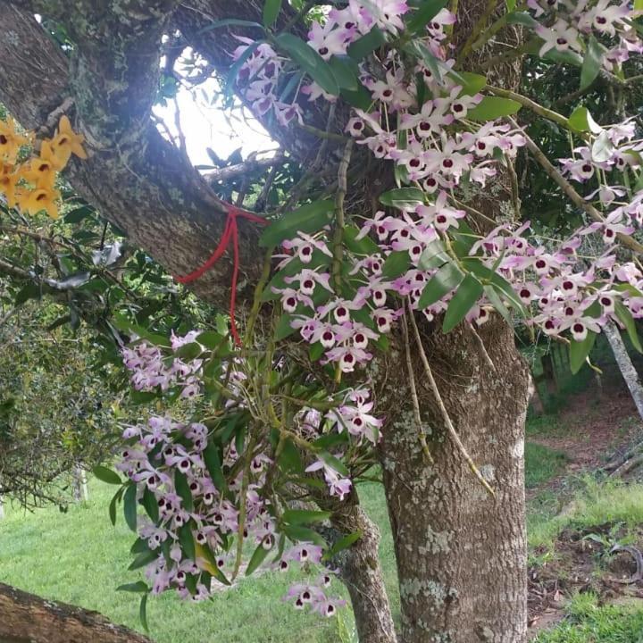 Linda Casa De Campo Viamão 외부 사진